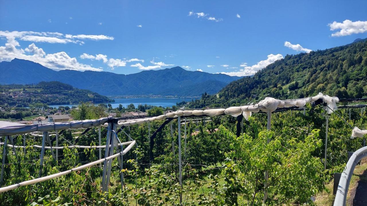 La Coccinella Di Susa Pergine Valsugana Bagian luar foto