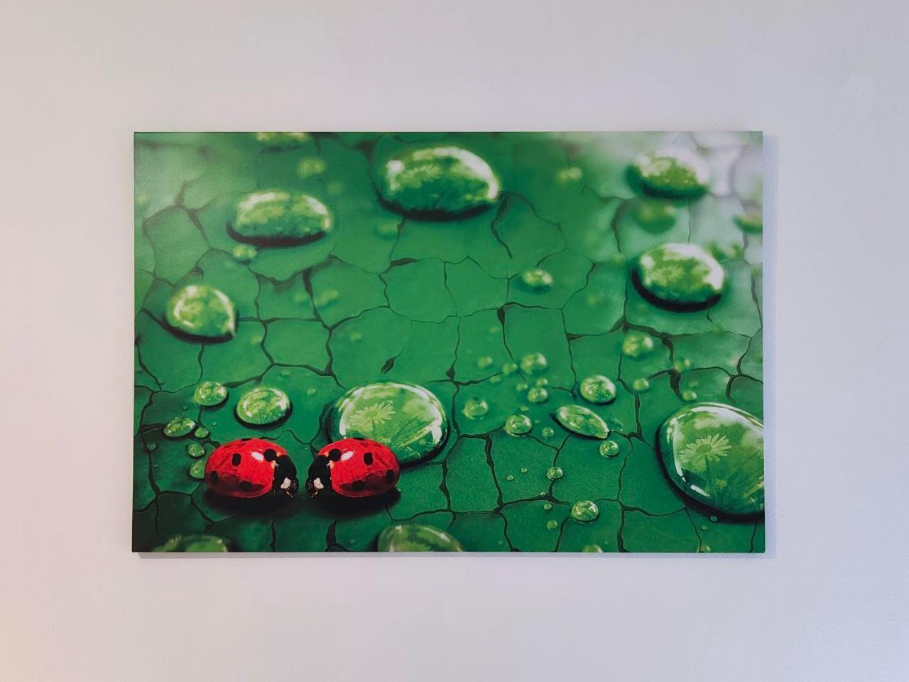 La Coccinella Di Susa Pergine Valsugana Bagian luar foto